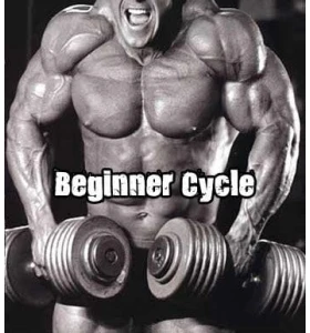 Buy Beginner Steroid Cycle