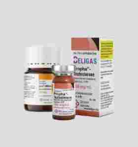 Testosterone Propionate &amp; Winstrol Cycle Beligas USA